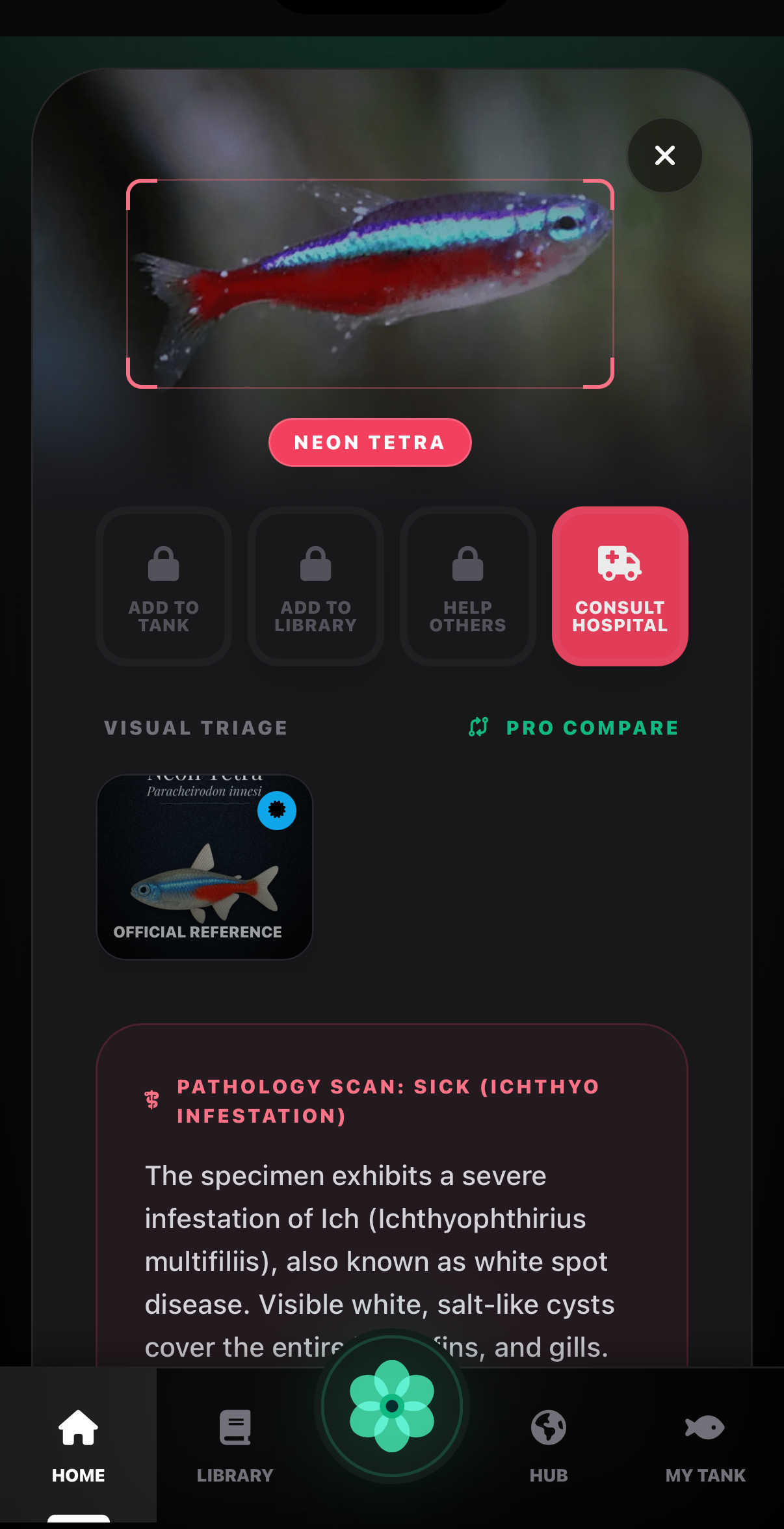 AquaLens pathology scan detecting Ich on a Cardinal Tetra